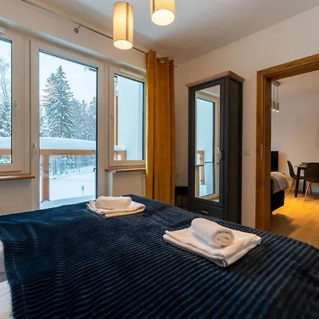 Apartament Reglowy Raj - Z Prywatnym Parkingiem By Spaceapart Шклярська Поремба Екстер'єр фото